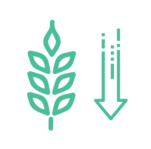 low carb icon