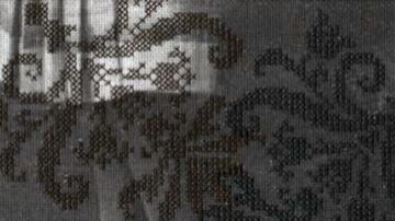Main Content Image