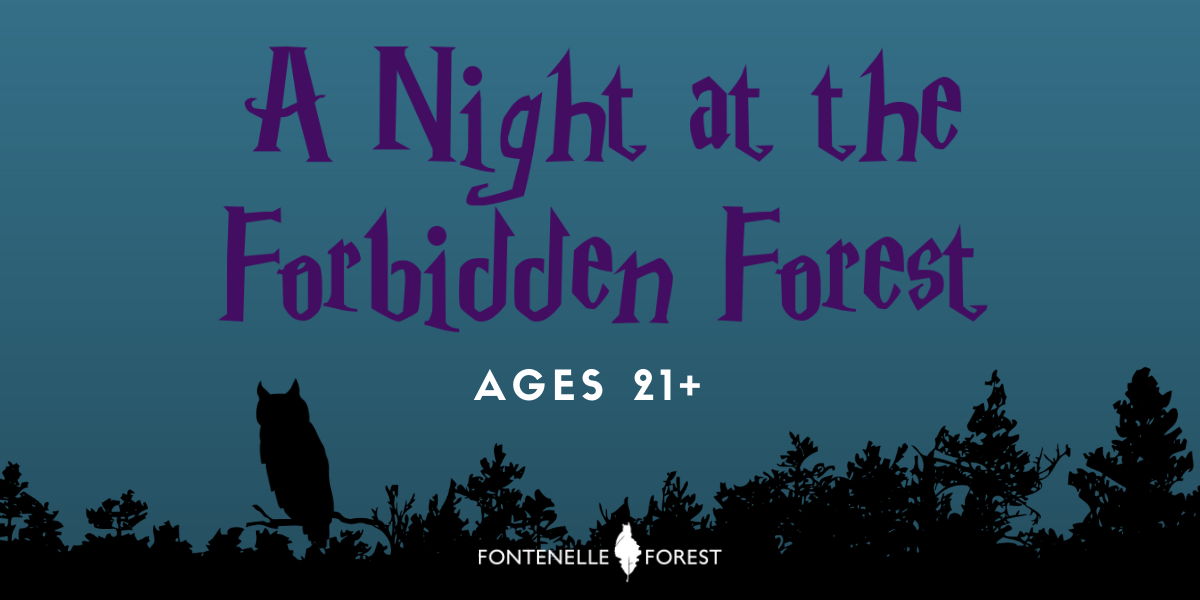 Night at the Forbidden Forest promotional image