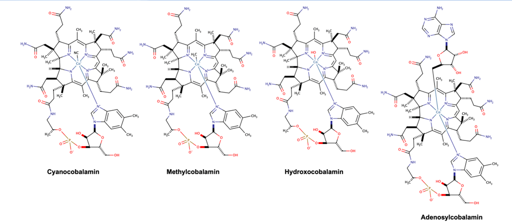 Figure 1. Different forms of Vitamin B12 and their chemical structures