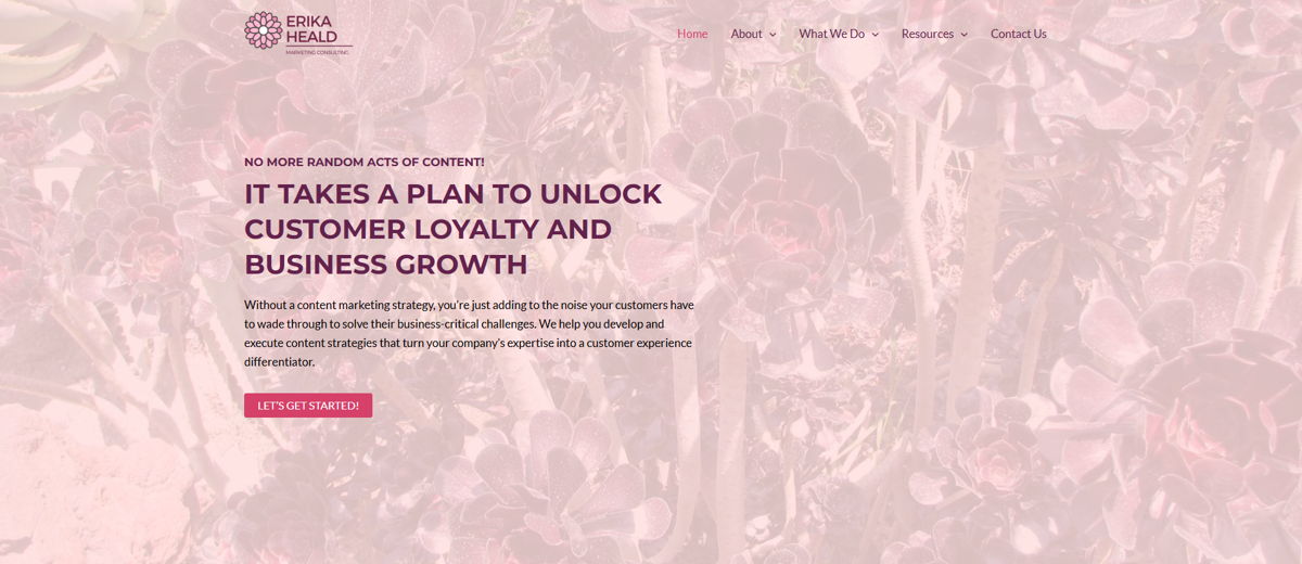 Screenshot of Erika Heald, from the content marketing portfolios collection.