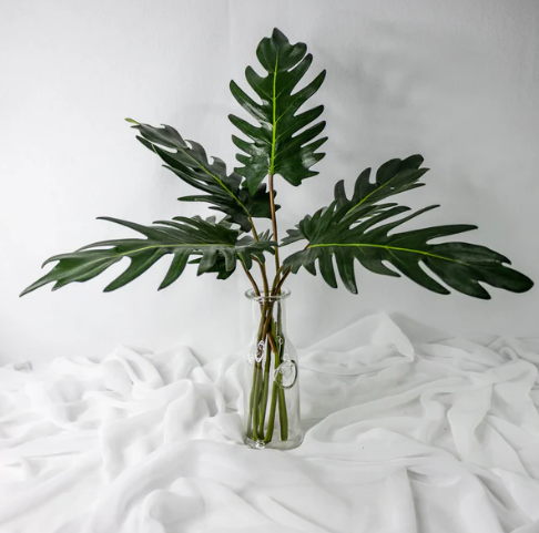 Large Xanadoo Leaf - Realistic Artificial Flowers and Greenery - Image 4