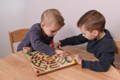 Two brothers playing with a wooden magnetic maze game. 