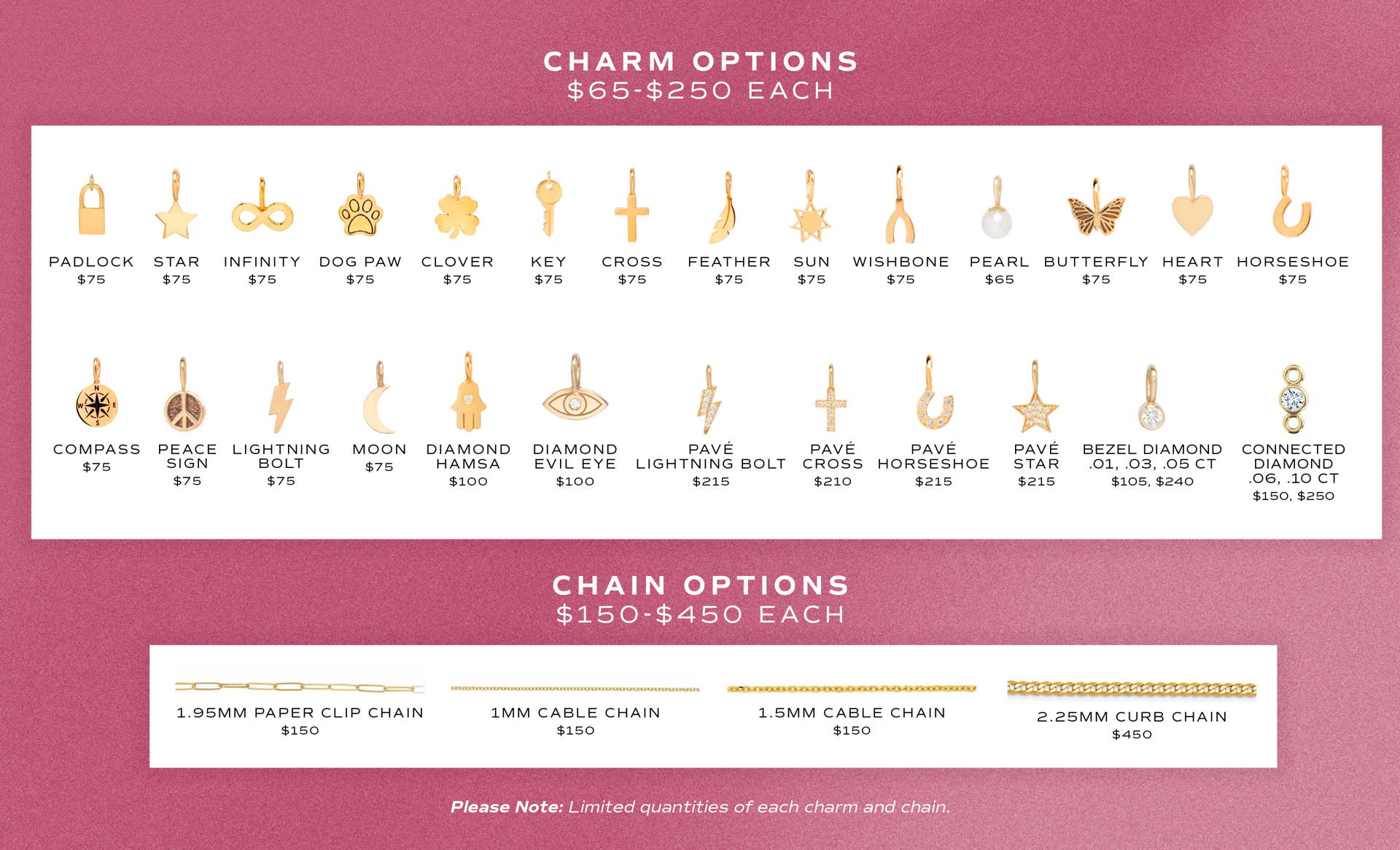Charm & Chain options for Charmed Forever permanent bracelet jewelry at Reis-Nichols Jewelers