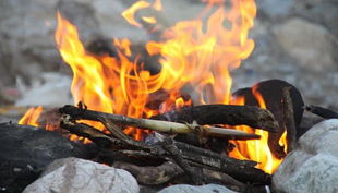 sdp mein wilder tag feuer