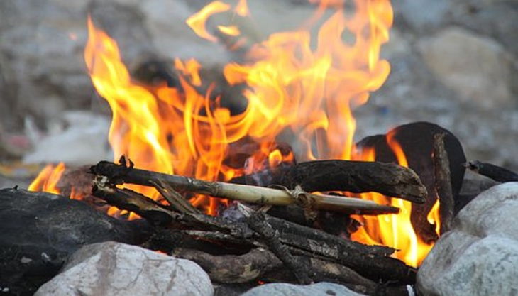 sdp mein wilder tag feuer