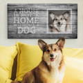 Corgi in front of canvas print