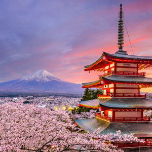 Honeymoon Fund to Japan