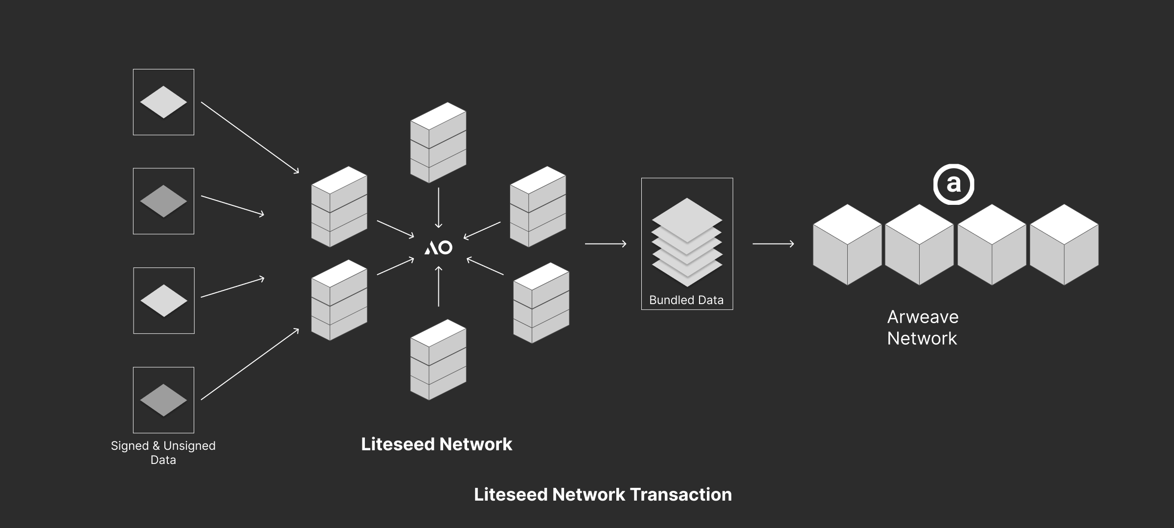 Liteseed Network