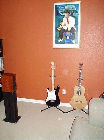 satchmo, tiffany, fender, washburn