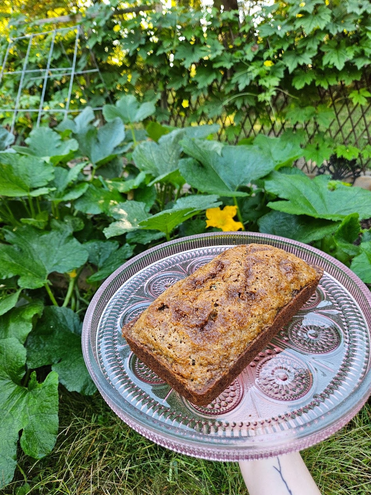 A slice of zucchini bread on a pink glass plate in the garden