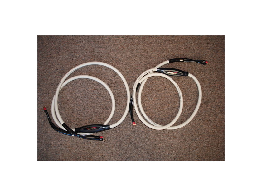 Transparent MWP8 MM1 Technology Speaker Cables