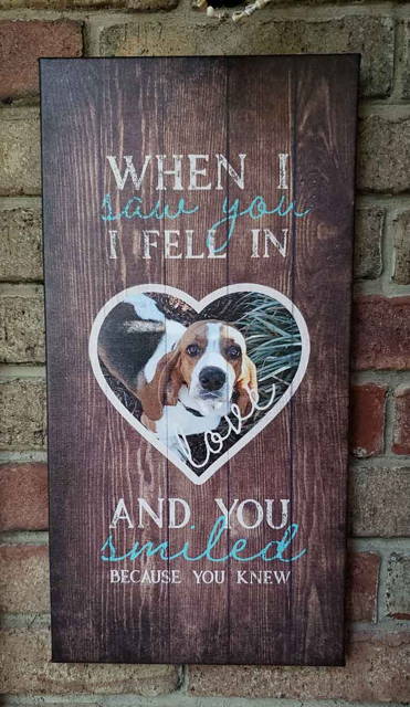 dog memorial with photo of beagle