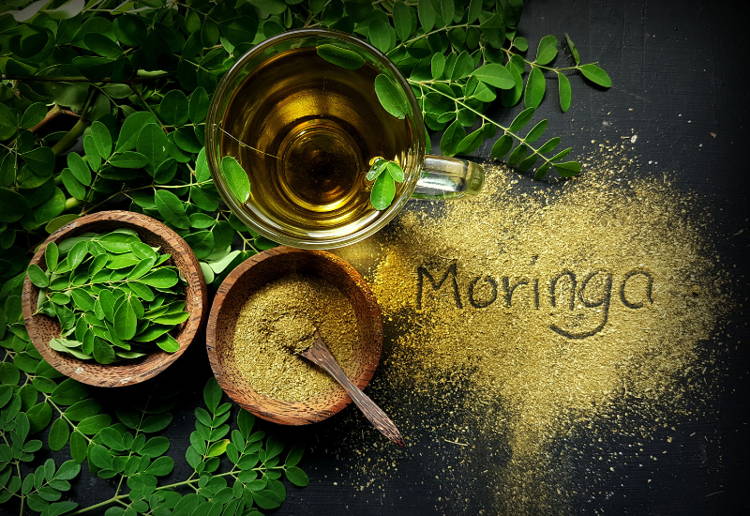 モリンガ茶とは