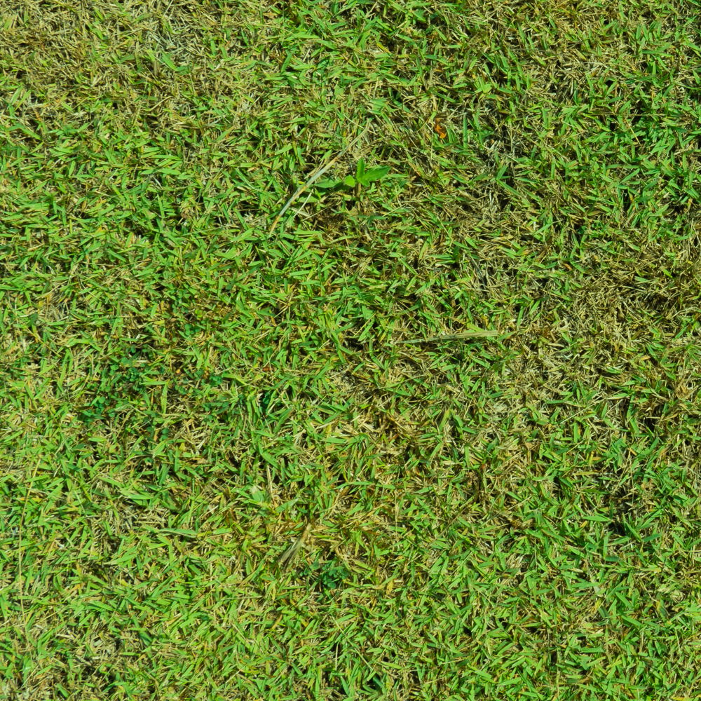 the game board; a photographic image of grass from above; a bird's eye view