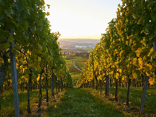  Solothurn
- Ein Urlaub im Oktober bietet die perfekte Mischung aus sonnigen Tagen und gemütlichen Nächten. Wir präsentieren die schönsten Reiseziele.