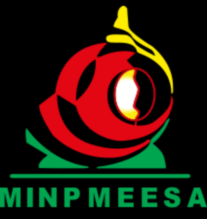 Ministère des petites et moyennes entreprises de l'économie sociale et artisanale 