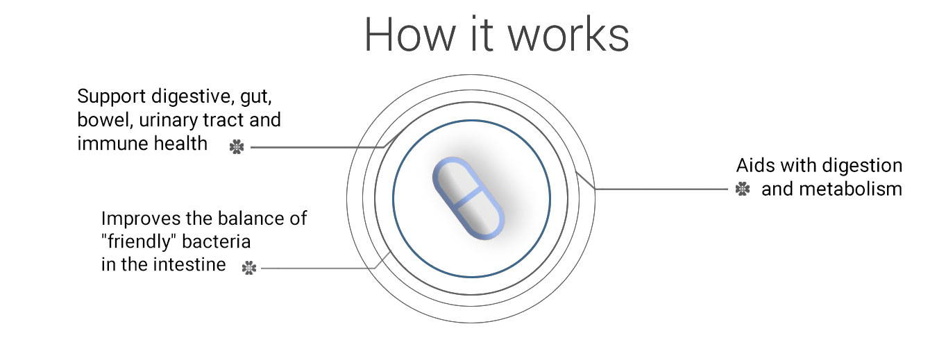 ULTRA BIOTIC HOW IT WORKS