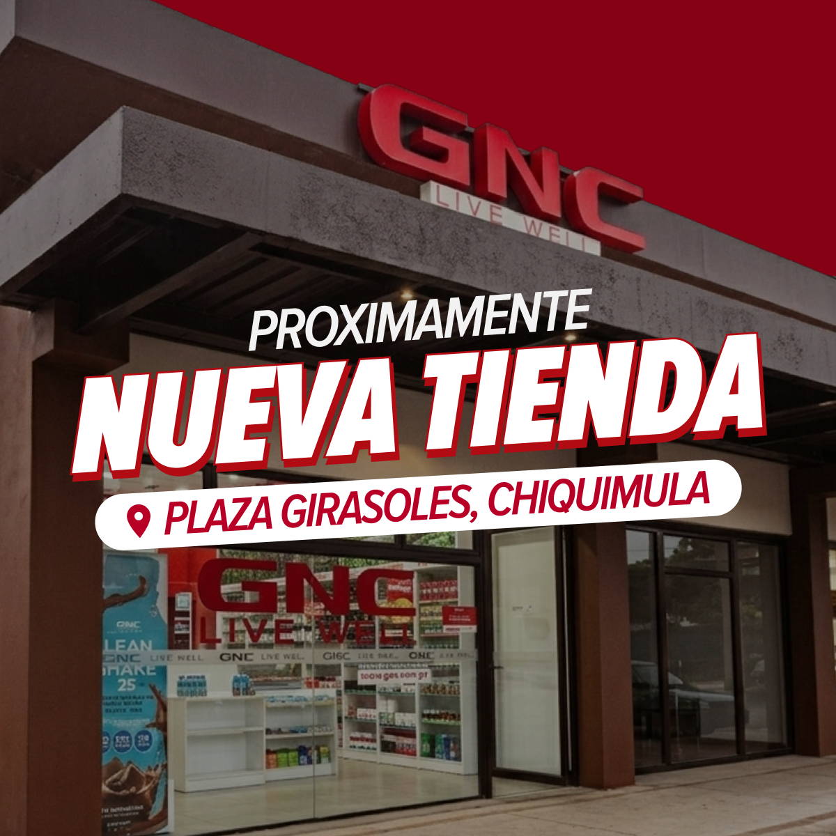 healthy gifts - regalos navideños