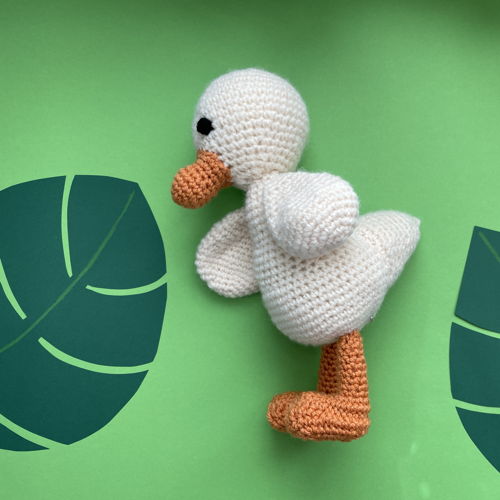 Duck Frida