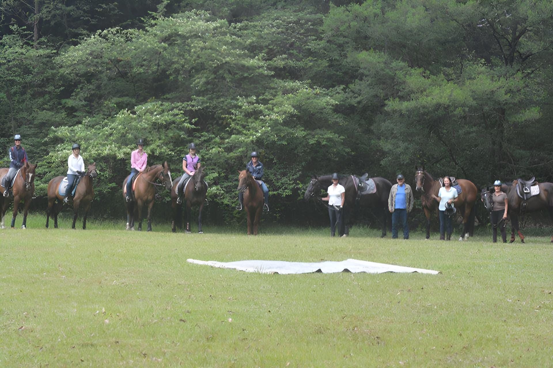 Ridgeview Equestrian Voucher - Image 11