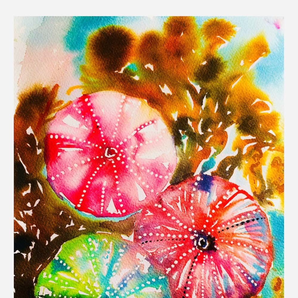 Kunsttrykk Kråkebolle A5