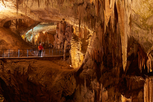 Три жемчужины — Постойнская пещера, Предьямский замок, озеро Блед, авто-пешеходная экскурсия
