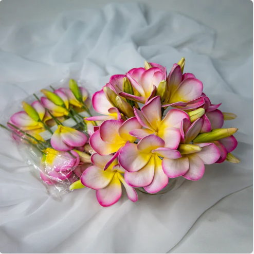 Light Pink with Buds Frangipani Flowerhead (6 Pack) - Realistic Artificial Flowers - Image 4
