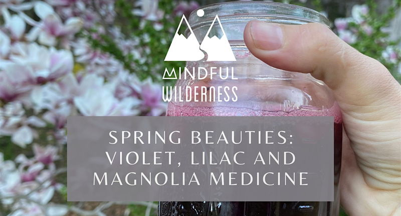 Spring Beauties: Violet, Lilac and Magnolia Medicine