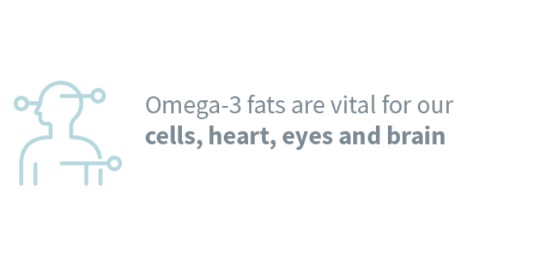 omega-3 for heart eyes and brain