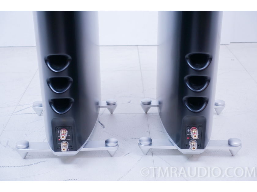 RAIDHO / Scansonic MB-6 Flagship Line Array Speakers;   Pair MB6(8550)