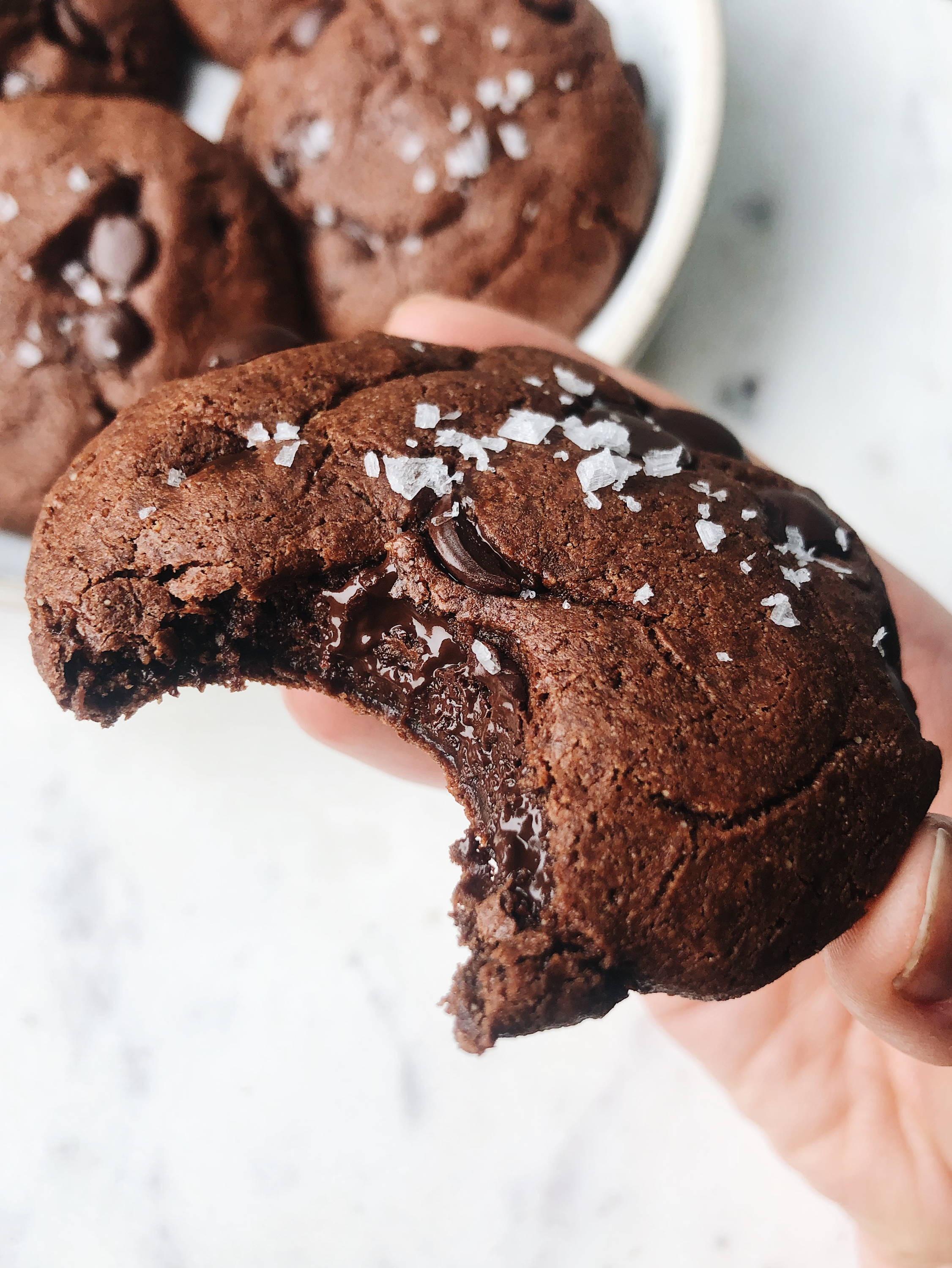 Nowhere Bakery Gluten Free Double Chocolate Chip Cookies