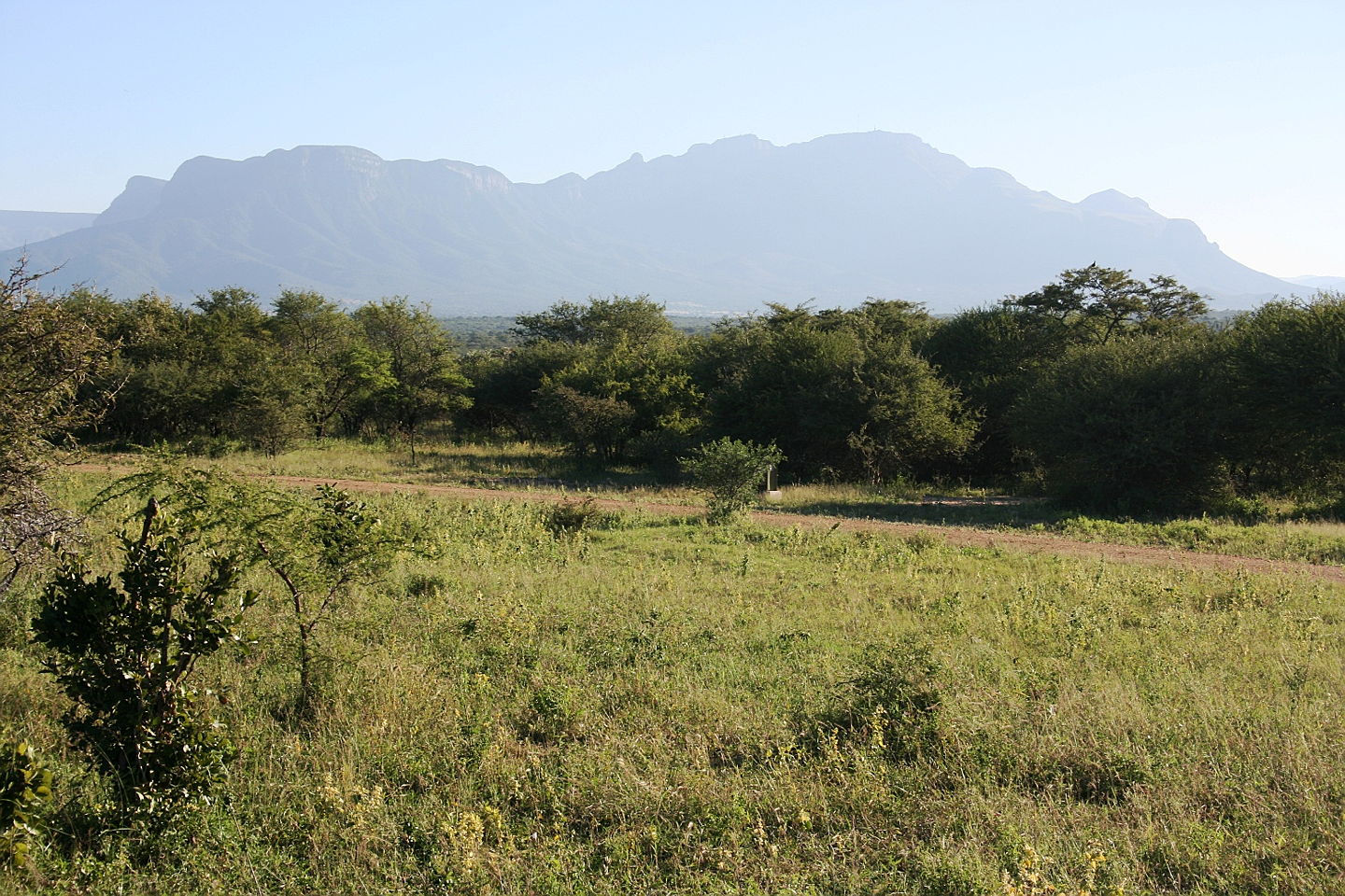  Hoedspruit
- STAND WITH MOUNTAIN VIEW.JPG