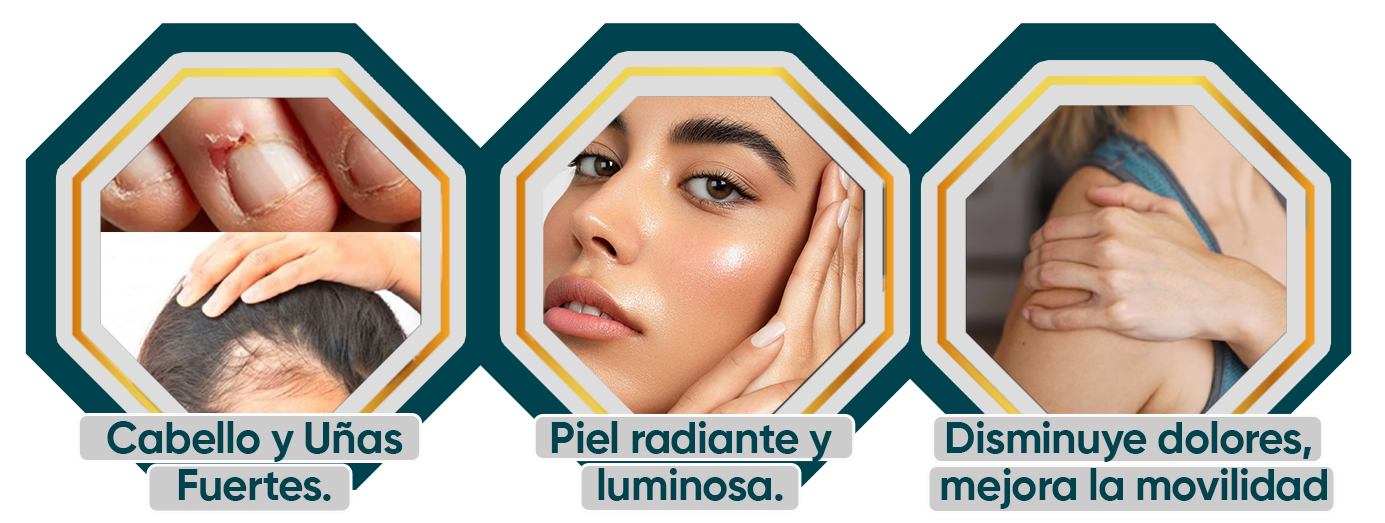 Ingredientes de Alta Calidad para Resultados Incomparables
