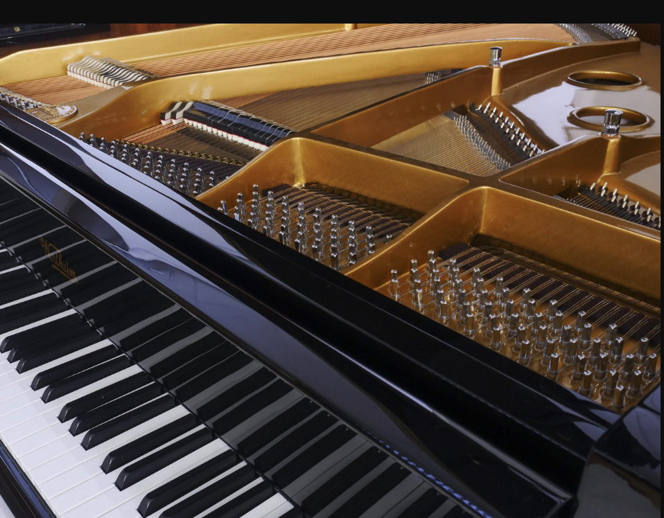 Acoustic Wertheim Grand Piano Gold Series W170 BP - Image 2