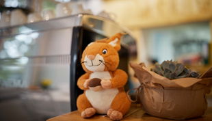 löffelöhrchen familiencafé hase