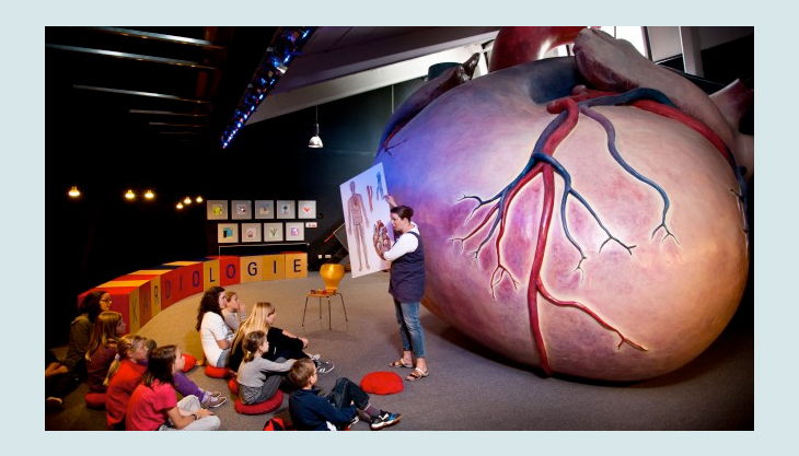 Herzenssache In Der Kinder Akademie Fulda