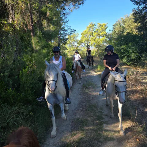 Horse Safari and Family Activity Park Entry in Side