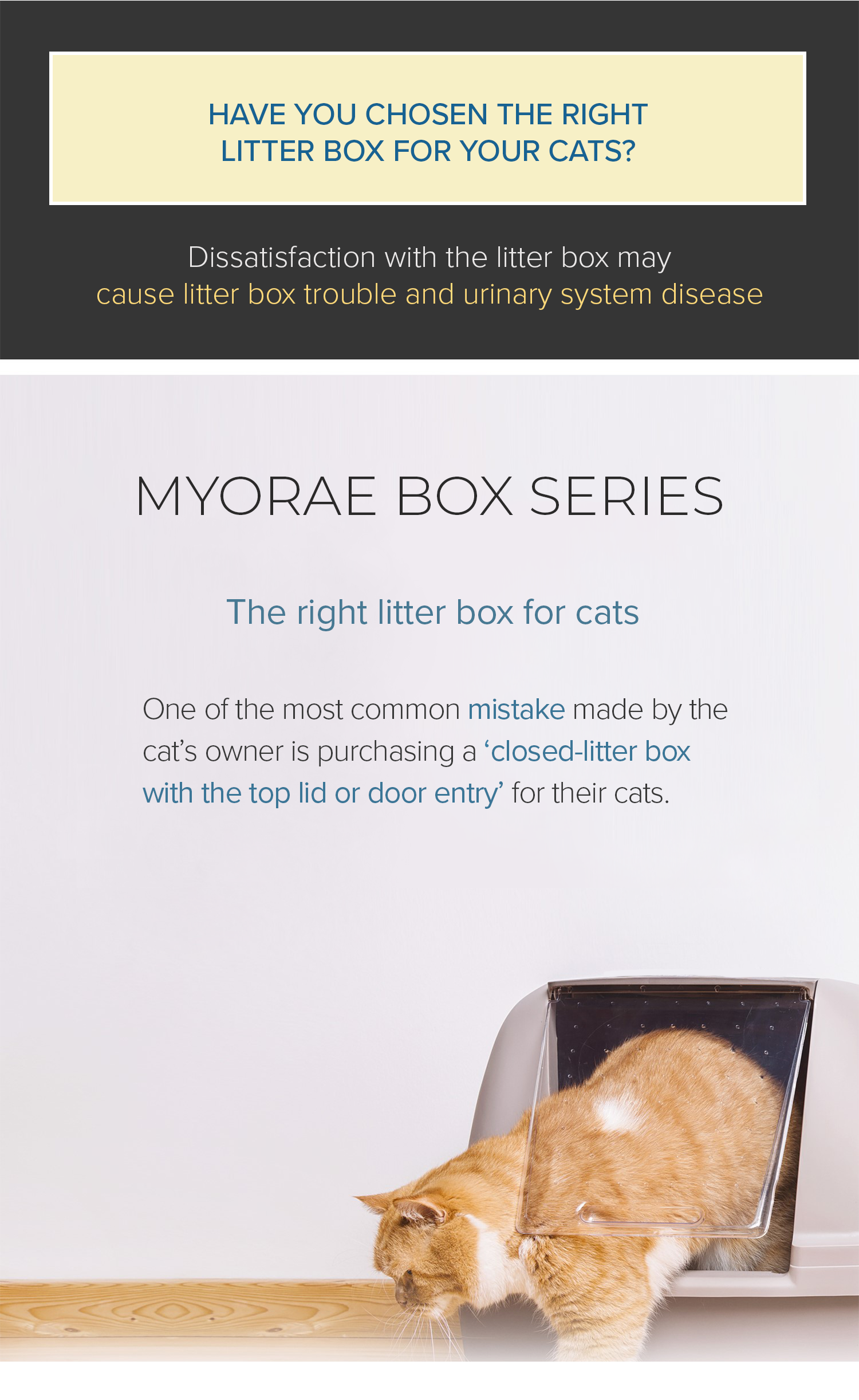 myorae box, cat litter box, largest cat litter box, exclusive extra huge cat litter box, extra large cat litter box, jumbo cat litter box, high-quality Korean product, korean cat litter box, best cat litter box, #1 cat litter box, recommended cat litter box, pink, white, mint, beige, grey, giant cat litter box, right litter box for cat, proper litter box to cat, appropriate cat litter box, opened cat litter box, cat litter box without llid, cat litter box without cover 