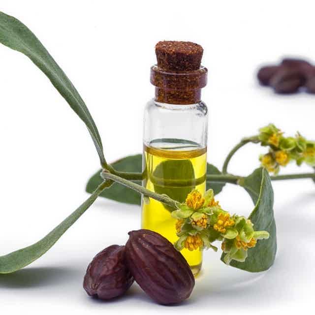 Blog 7 amazing benefits of jojoba oil 