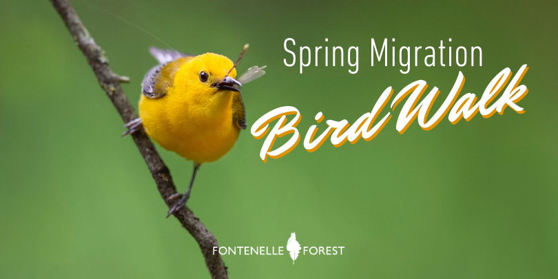 Spring Migration Bird Walk promotional image