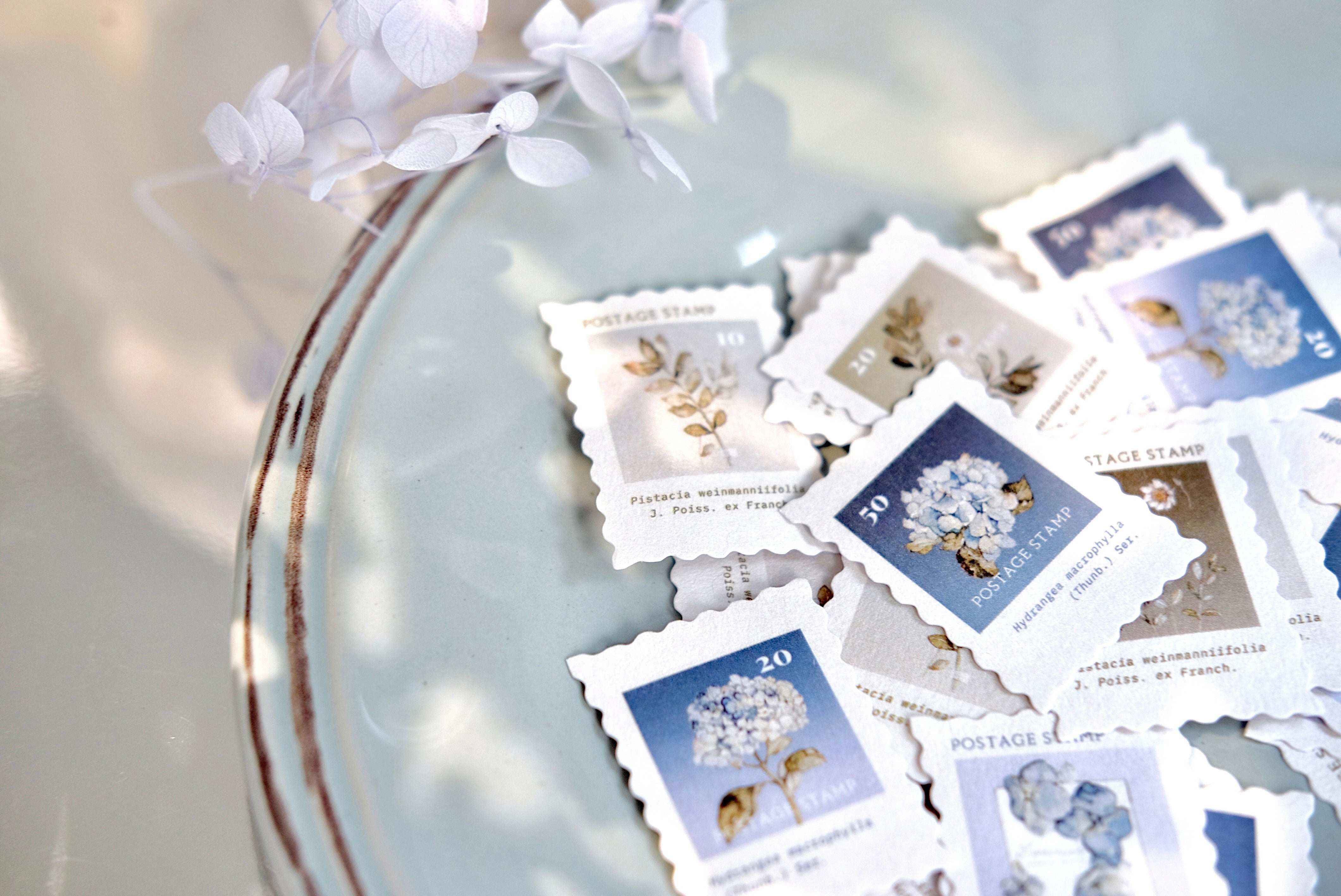 Freckles Tea Vol.4 Stamp-Style Sticker, Summer – Pinky Elephant