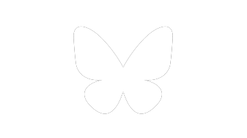 Main Content Image