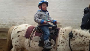 ponyhof stoelken kind reitet pony