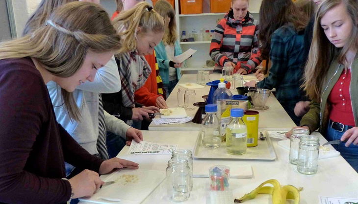 wissenschaftsscheune das labor