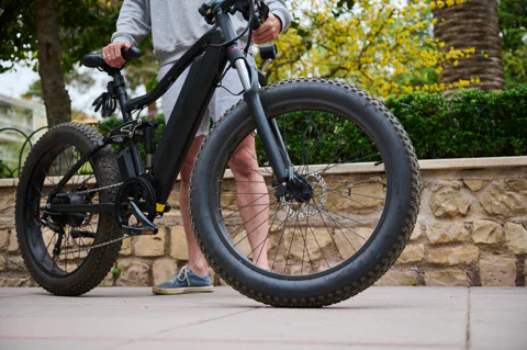Guided E-Bike Sightseeing Tour