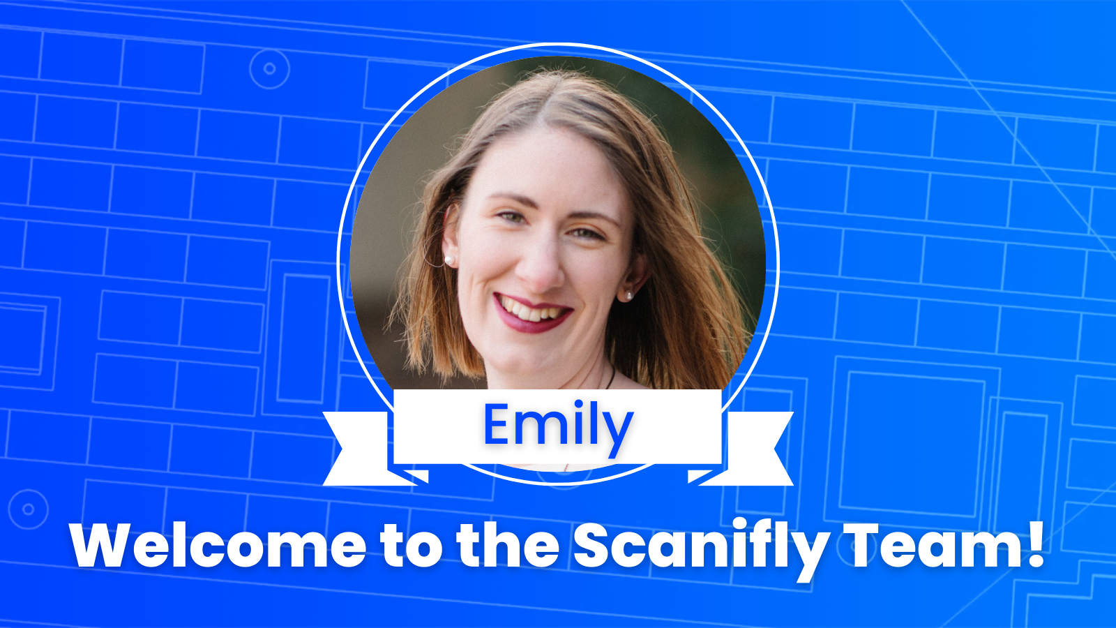 About Scanifly