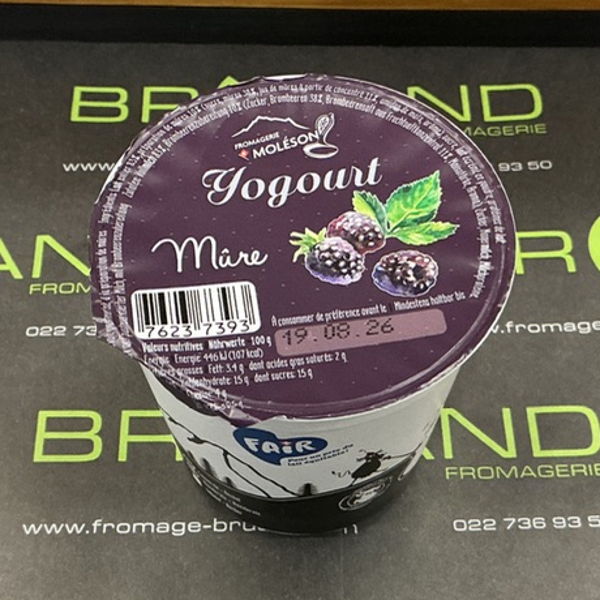 yogourt-mure-moleson