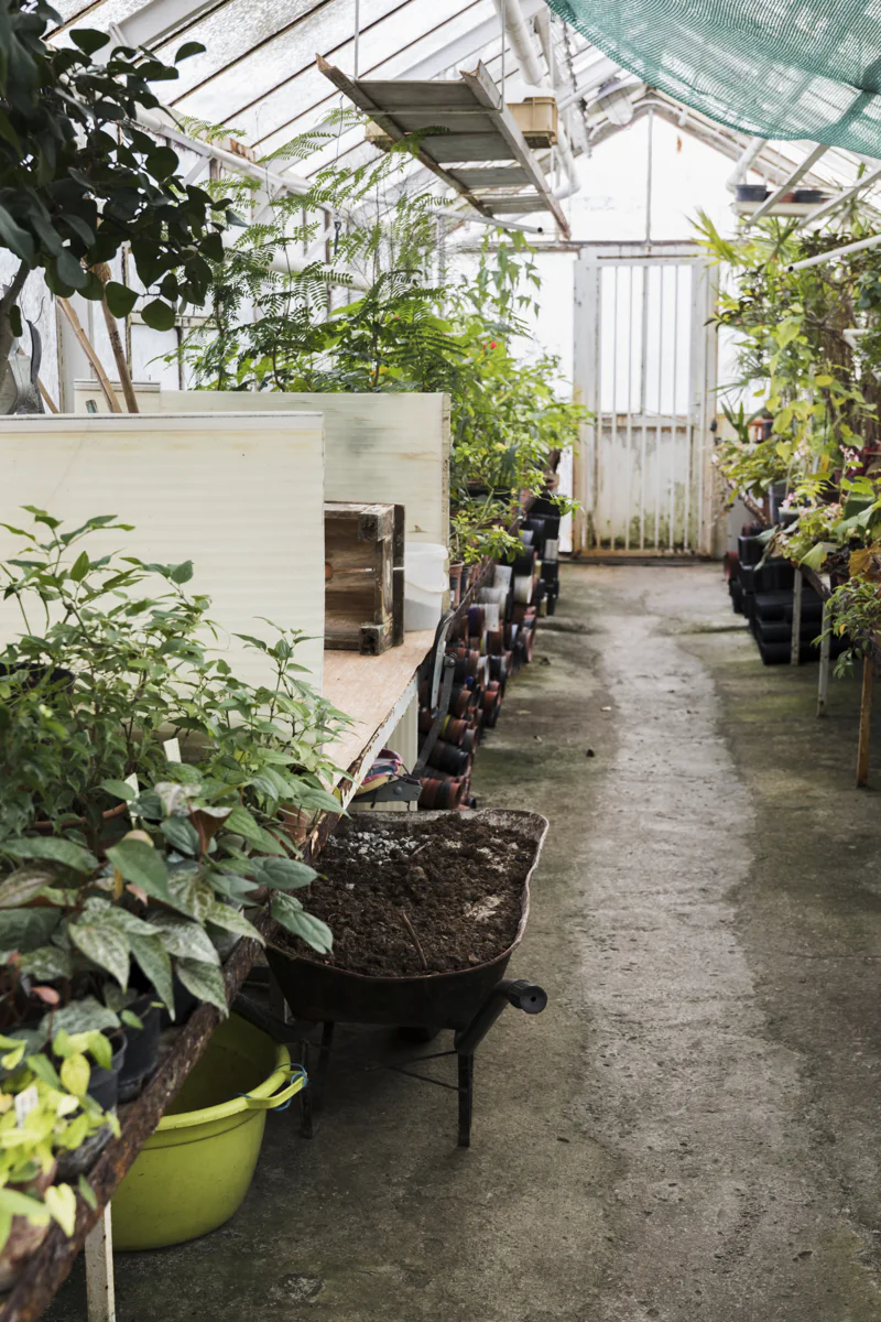 Greenhouse with concrete floor