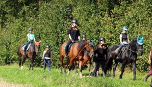 img home qdnqpsqzitnmpnbwudydydwriwkyg